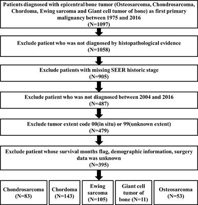 The Clinical Characteristics and Prediction Nomograms for Primary Spine Malignancies